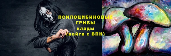 каннабис Арсеньев