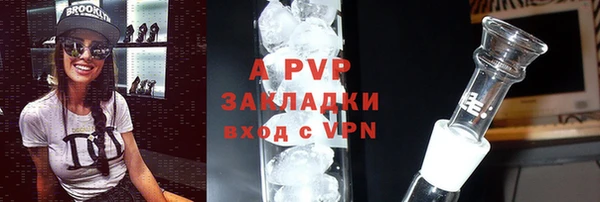 прущие грибы Ростов