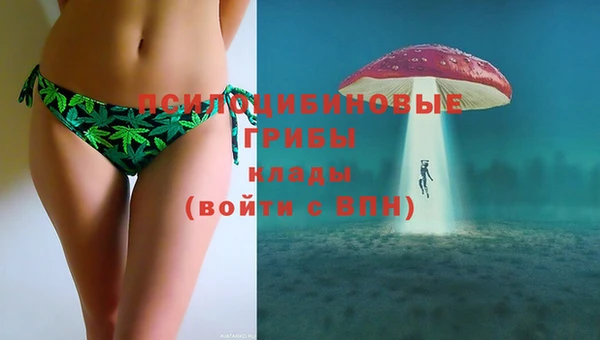 прущие грибы Ростов