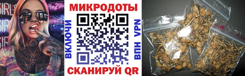 KRAKEN зеркало  Похвистнево  Галлюциногенные грибы Magic Shrooms 